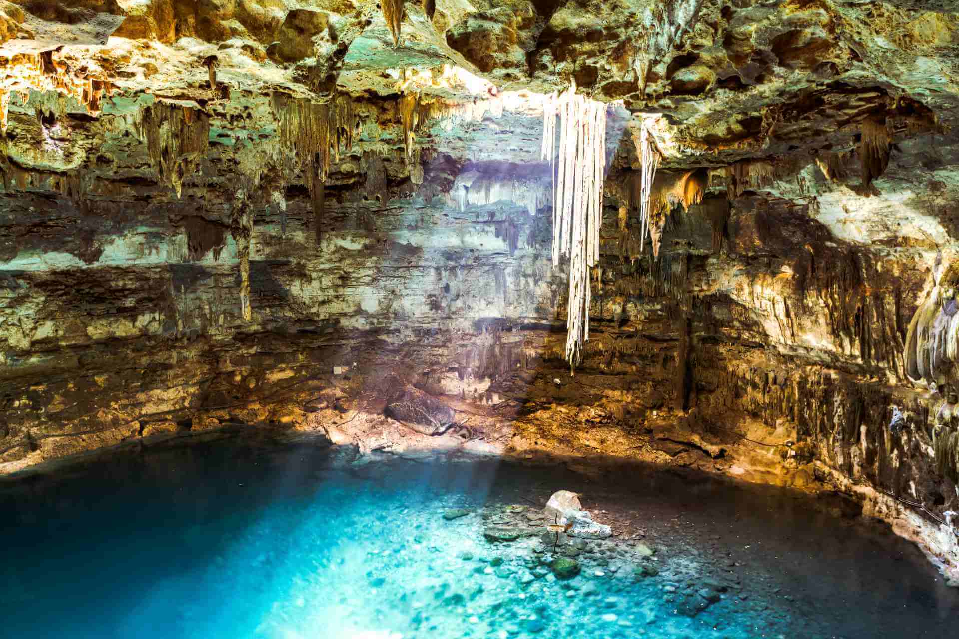 Cenotes Experience