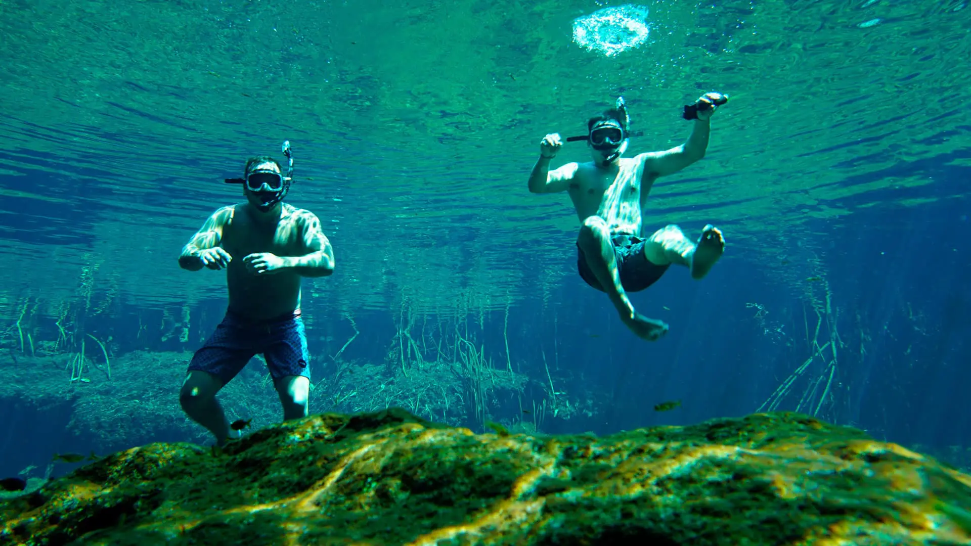 cenotes-top-background-1