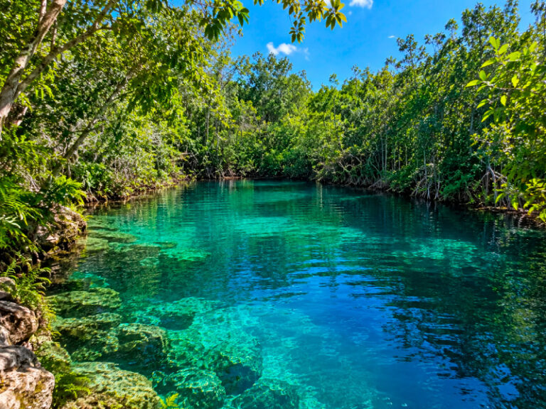 Crystal-clear open cenote on a private snorkeling tour in the Riviera Maya