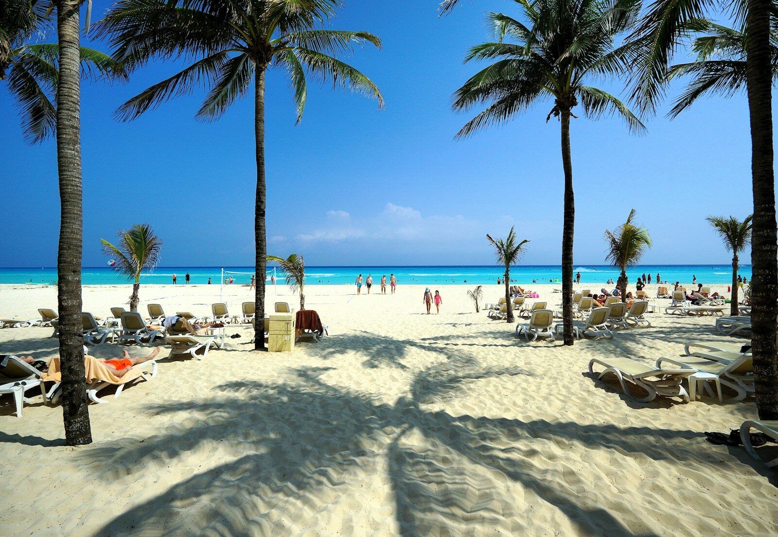 A beach filled with lots of palm trees